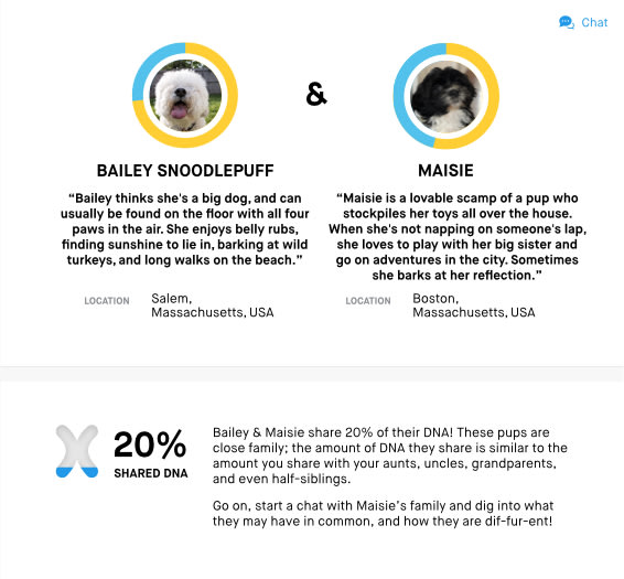 Embark dog dna relatives